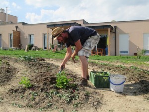 Cohousing POMALI