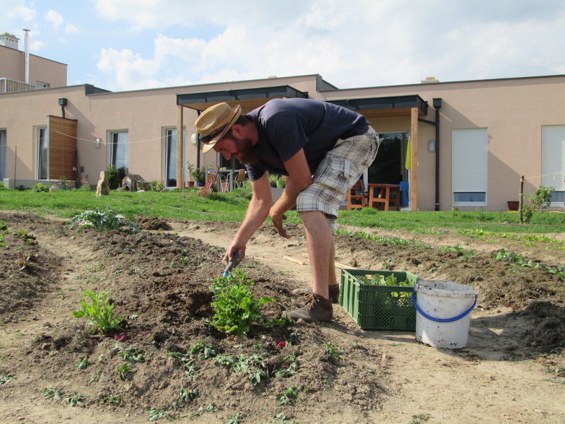 COHOUSING POMALI